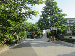東京メトロ銀座線 浅草駅