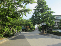 つくばエクスプレス線 浅草駅